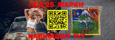 гидропоника Кингисепп
