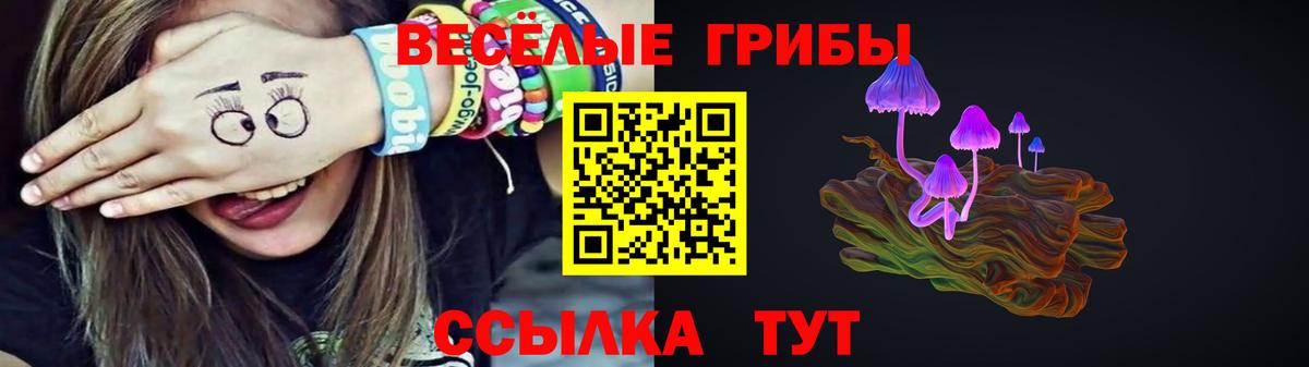 купить закладку  Псилоцибиновые грибы Psilocybine cubensis  Вход с VPN  Кострома 
